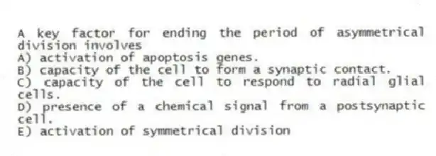A key factor for ending the period of asymmetrical division involves
A) activation of apoptosis genes.
B) capacity of the cell to form a synaptic contact.
C) capacity of the cell to respond to radial glial cells.
D) presence of a chemical signal from a postsynaptic cell.
E) activation of symmetrical division