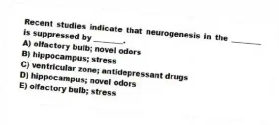 Recent studies indicate that neurogenesis in the ________ is suppressed by ________.
A) olfactory bulb; novel odors
B) hippocampus; stress
C) ventricular zone; antidepressant drugs
D) hippocampus; novel odors
E) olfactory bulb; stress