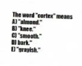 The word "cortex" means
A) "almond."
B) "knee."
C) "smooth."
D) bark."
E) "grayish."