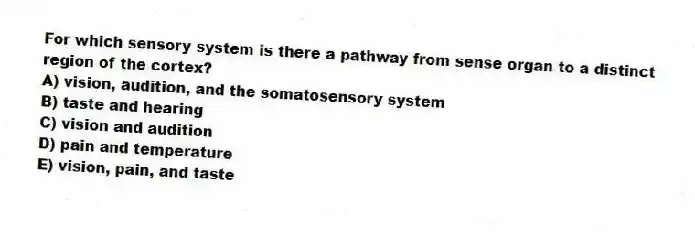 For which sensory system is there a pathway from sense organ to a distinct region of the cortex?
A) vision, audition, and the somatosensory system
B) taste and hearing
C) vision and audition
D) pain and temperature
E) vision, pain, and taste