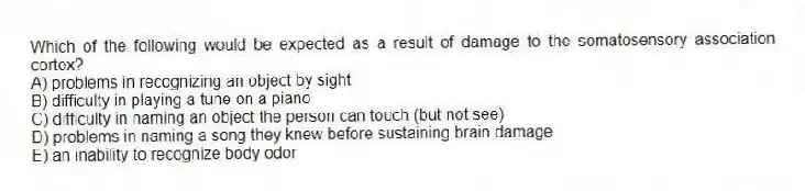 Which of the following would be expected as a result of damage to the somatosensory association cortex?
A) problems in recognizing an object by sight
B) difficulty in playing a tune on a piano
C) difficulty in naming an object the person can touch (but not see)
D) problems in naming a song they knew before sustaining brain damage
E) an inability to recognize body odor