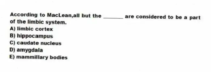 According to MacLean,all but the ________ are considered to be a part of the limbic system.
A) limbic cortex
B) hippocampus
C) caudate nucleus
D) amygdala
E) mammillary bodies