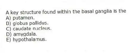 A key structure found within the basal ganglia is the
A) putamen.
B) globus pallidus.
C) caudate nucleus.
D) amygdala.
E) hypothalamus.