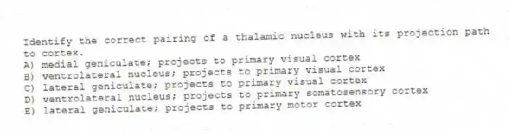 Identify the correct pairing of a thalamic nucleus with its projection path to cortex.
A) medial geniculate; projects to primary visual cortex
B) ventrolateral nucleus; projects to primary visual cortex
C) lateral geniculate; projects to primary visual cortex
D) ventrolateral nucleus; projects to primary somatosensory cortex
E) lateral geniculate; projects to primary motor cortex