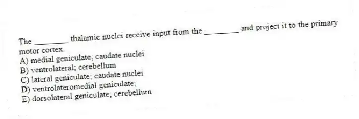 The ________ thalamic nuclei receive input from the ________ and project it to the primary motor cortex.
A) medial geniculate; caudate nuclei
B) ventrolateral; cerebellum
C) lateral geniculate; caudate nuclei
D) ventrolateromedial geniculate;
E) dorsolateral geniculate; cerebellum