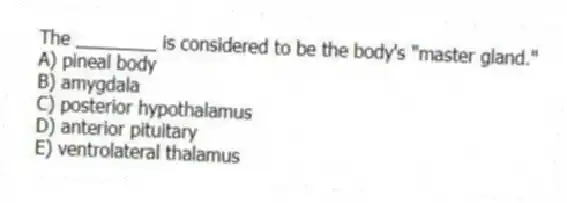 The ________ is considered to be the body's "master gland."
A) pineal body
B) amygdala
C) posterior hypothalamus
D) anterior pituitary
E) ventrolateral thalamus