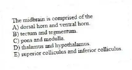 The midbrain is comprised of the
A) dorsal horn and ventral horn.
B) tectum and tegmentum.
C) pons and medulla.
D) thalamus and hypothalamus.
E) superior colliculus and inferior colliculus.