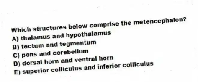 Which structures below comprise the metencephalon?
A) thalamus and hypothalamus
B) tectum and tegmentum
C) pons and cerebellum
D) dorsal horn and ventral horn
E) superior colliculus and inferior colliculus
