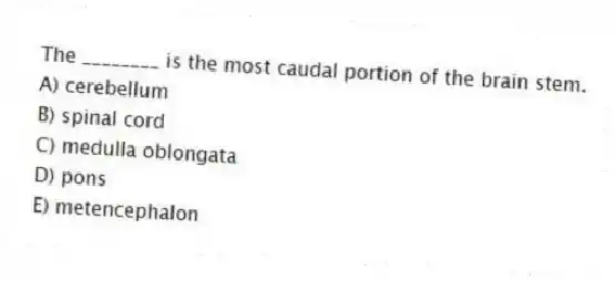 The ________ is the most caudal portion of the brain stem.
A) cerebellum
B) spinal cord
C) medulla oblongata
D) pons
E) metencephalon