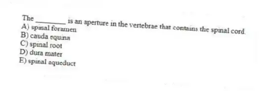 The ________ is an aperture in the vertebrae that contains the spinal cord.
A) spinal foramen
B) cauda equina
C) spinal root
D) dura mater
E) spinal aqueduct