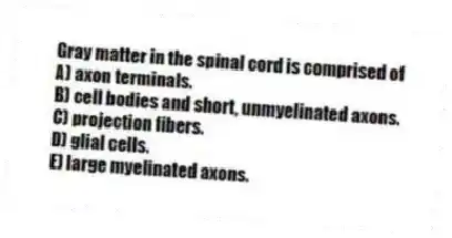 Gray matter in the spinal cord is comprised of
A) axon terminals.
B) cell bodies and short, unmyelinated axons.
C) projection fibers.
D) glial cells.
E) large myelinated axons.