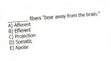 ________ fibers "bear away from the brain."
A) Afferent
B) Efferent
C) Projection
D) Somatic
E) Apolar
