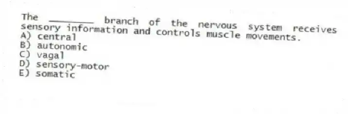 The ________ branch of the nervous system receives sensory information and controls muscle movements.
A) central
B) autonomic
C) vagal
D) sensory-motor
E) somatic
