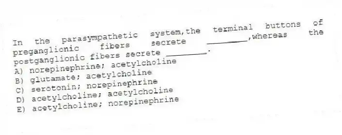 In the parasympathetic system,the terminal buttons of preganglionic fibers secrete ________,whereas the postganglionic fibers secrete ________.
A) norepinephrine; acetylcholine
B) glutamate; acetylcholine
C) serotonin; norepinephrine
D) acetylcholine; acetylcholine
E) acetylcholine; norepinephrine