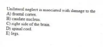 Unilateral neglect is associated with damage to the
A) frontal cortex.
B) caudate nucleus.
C) right side of the brain.
D) spinal cord.
E) legs.