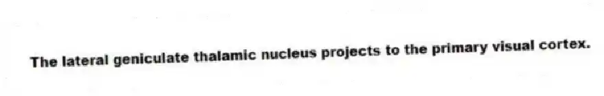 The lateral geniculate thalamic nucleus projects to the primary visual cortex.