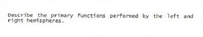 Describe the primary functions performed by the left and right hemispheres.