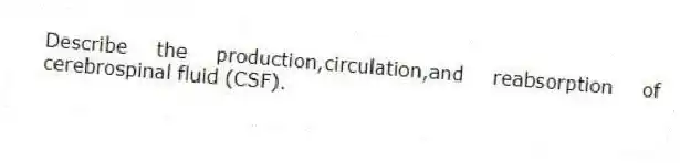 Describe the production,circulation,and reabsorption of cerebrospinal fluid (CSF).