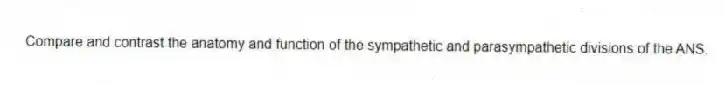 Compare and contrast the anatomy and function of the sympathetic and parasympathetic divisions of the ANS.