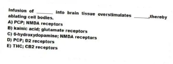 Infusion of ________ into brain tissue overstimulates _______,thereby ablating cell bodies.
A) PCP; NMDA receptors
B) kainic acid; glutamate receptors
C) 6-hydroxydopamine; NMDA receptors
D) PCP; D2 receptors
E) THC; CB2 receptors
