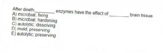 After death,________ enzymes have the effect of ________ brain tissue.
A) microbial; fixing
B) microbial; hardening
C) autolytic; dissolving
D) mold; preserving
E) autolytic; preserving