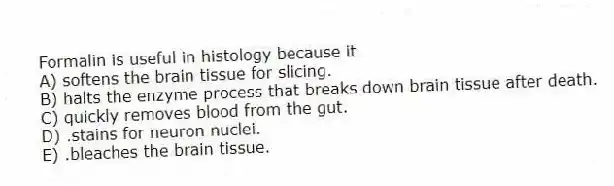 Formalin is useful in histology because it
A) softens the brain tissue for slicing.
B) halts the enzyme process that breaks down brain tissue after death.
C) quickly removes blood from the gut.
D) .stains for neuron nuclei.
E) .bleaches the brain tissue.