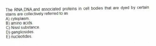 The RNA,DNA,and associated proteins in cell bodies that are dyed by certain stains are collectively referred to as
A) cytoplasm.
B) amino acids.
C) Nissl substance.
D) gangliosides.
E) nucleotides.
