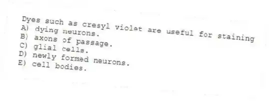 Dyes such as cresyl violet are useful for staining
A) dying neurons.
B) axons of passage.
C) glial cells.
D) newly formed neurons.
E) cell bodies.