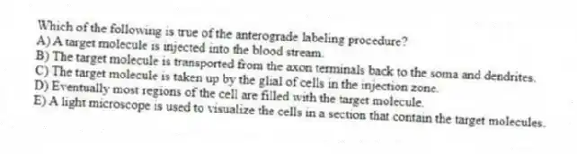 Which of the following is true of the anterograde labeling procedure?
A) A target molecule is injected into the blood stream.
B) The target molecule is transported from the axon terminals back to the soma and dendrites.
C) The target molecule is taken up by the glial of cells in the injection zone.
D) Eventually most regions of the cell are filled with the target molecule.
E) A light microscope is used to visualize the cells in a section that contain the target molecules.