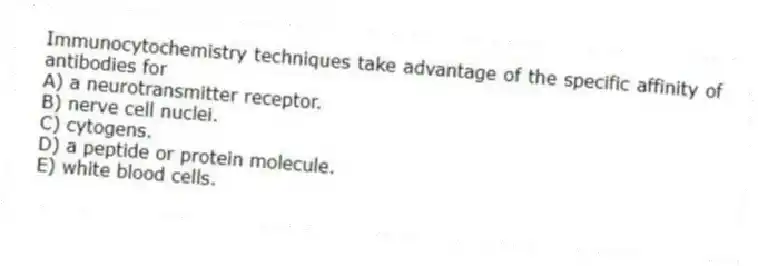 Immunocytochemistry techniques take advantage of the specific affinity of antibodies for
A) a neurotransmitter receptor.
B) nerve cell nuclei.
C) cytogens.
D) a peptide or protein molecule.
E) white blood cells.