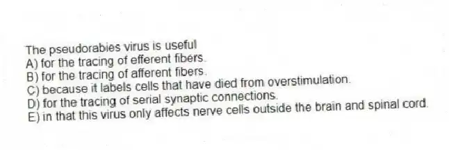 The pseudorabies virus is useful
A) for the tracing of efferent fibers.
B) for the tracing of afferent fibers.
C) because it labels cells that have died from overstimulation.
D) for the tracing of serial synaptic connections.
E) in that this virus only affects nerve cells outside the brain and spinal cord.