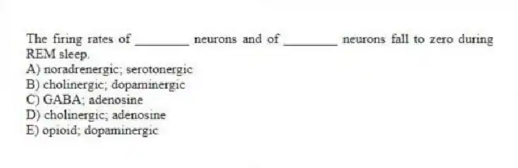 The firing rates of ________ neurons and of ________ neurons fall to zero during REM sleep.
A) noradrenergic; serotonergic
B) cholinergic; dopaminergic
C) GABA; adenosine
D) cholinergic; adenosine
E) opioid; dopaminergic