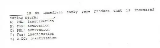 ______ is an immediate early gene product that is increased during neural ______.
A) PHL; inactivation
B) Fos; activation
C) PHL; activation
D) Fos; inactivation
E) 2-DG; inactivation