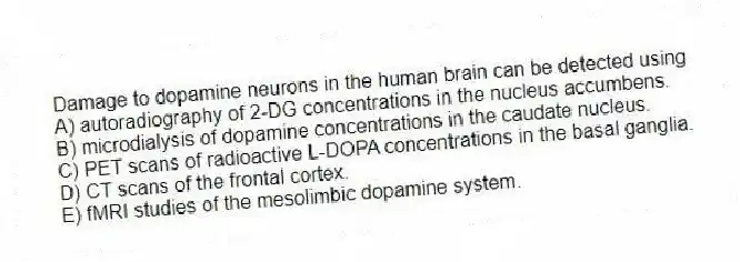 Damage to dopamine neurons in the human brain can be detected using
A) autoradiography of 2-DG concentrations in the nucleus accumbens.
B) microdialysis of dopamine concentrations in the caudate nucleus.
C) PET scans of radioactive L-DOPA concentrations in the basal ganglia.
D) CT scans of the frontal cortex.
E) fMRI studies of the mesolimbic dopamine system.