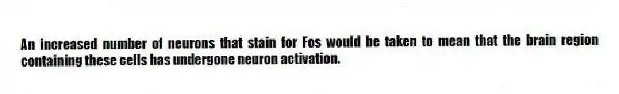 An increased number of neurons that stain for Fos would be taken to mean that the brain region containing these cells has undergone neuron activation.