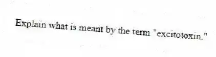 Explain what is meant by the term "excitotoxin."