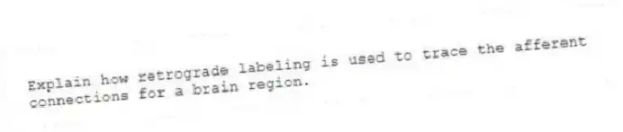 Explain how retrograde labeling is used to trace the afferent connections for a brain region.