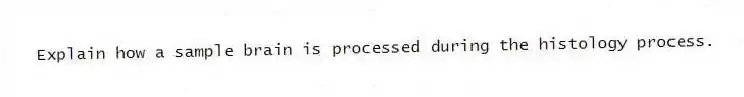Explain how a sample brain is processed during the histology process.