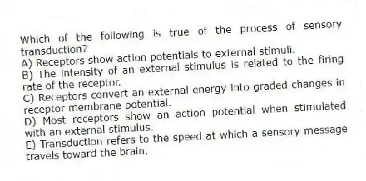 Which of the following is true of the process of sensory transduction?
A) Receptors show action potentials to external stimuli.
B) The intensity of an external stimulus is related to the firing rate of the receptor.
C) Receptors convert an external energy into graded changes in receptor membrane potential.
D) Most receptors show an action potential when stimulated with an external stimulus.
E) Transduction refers to the speed at which a sensory message travels toward the brain.
