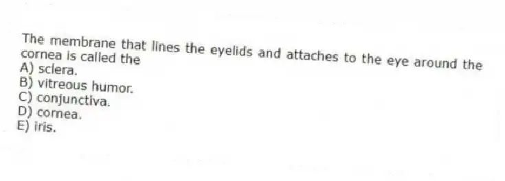 The membrane that lines the eyelids and attaches to the eye around the cornea is called the
A) sclera.
B) vitreous humor.
C) conjunctiva.
D) cornea.
E) iris.