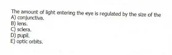 The amount of light entering the eye is regulated by the size of the
A) conjunctiva.
B) lens.
C) sclera.
D) pupil.
E) optic orbits.