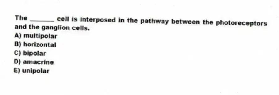 The ________ cell is interposed in the pathway between the photoreceptors and the ganglion cells.
A) multipolar
B) horizontal
C) bipolar
D) amacrine
E) unipolar