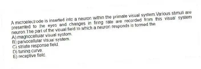 A microelectrode is inserted into a neuron within the primate visual system.Various stimuli are presented to the eyes and changes in firing rate are recorded from this visual system neuron.The part of the visual field to which a neuron responds is termed the
A) magnocellular visual system.
B) parvocellular visual system.
C) striate response field.
D) tuning curve.
E) receptive field.