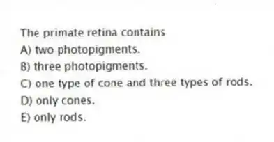 The primate retina contains
A) two photopigments.
B) three photopigments.
C) one type of cone and three types of rods.
D) only cones.
E) only rods.