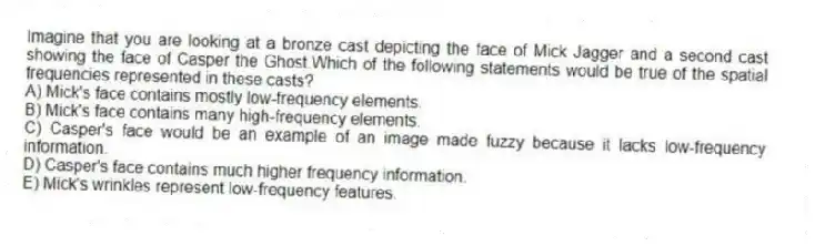 Imagine that you are looking at a bronze cast depicting the face of Mick Jagger and a second cast showing the face of Casper the Ghost.Which of the following statements would be true of the spatial frequencies represented in these casts?
A) Mick's face contains mostly low-frequency elements.
B) Mick's face contains many high-frequency elements.
C) Casper's face would be an example of an image made fuzzy because it lacks low-frequency information.
D) Casper's face contains much higher frequency information.
E) Mick's wrinkles represent low-frequency features.