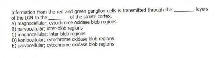 Information from the red and green ganglion cells is transmitted through the ________ layers of the LGN to the ________ of the striate cortex.
A) magnocellular; cytochrome oxidase blob regions
B) parvocellular; inter-blob regions
C) magnocellular; inter-blob regions
D) koniocellular; cytochrome oxidase blob regions
E) parvocellular; cytochrome oxidase blob regions