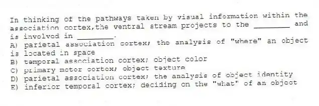 In thinking of the pathways taken by visual information within the association cortex,the ventral stream projects to the ________ and is involved in ________.
A) parietal association cortex; the analysis of "where" an object is located in space
B) temporal association cortex; object color
C) primary motor cortex; object texture
D) parietal association cortex; the analysis of object identity
E) inferior temporal cortex; deciding on the "what" of an object