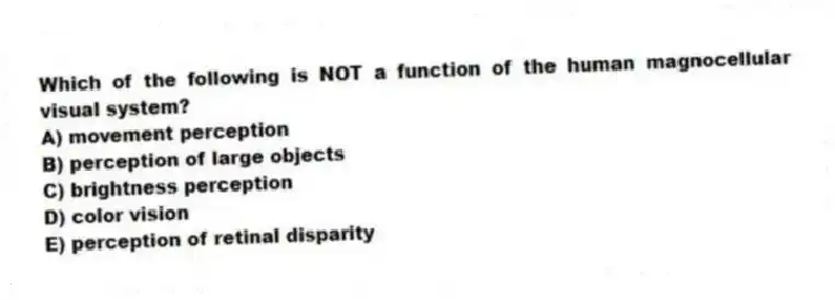 Which of the following is NOT a function of the human magnocellular visual system?
A) movement perception
B) perception of large objects
C) brightness perception
D) color vision
E) perception of retinal disparity