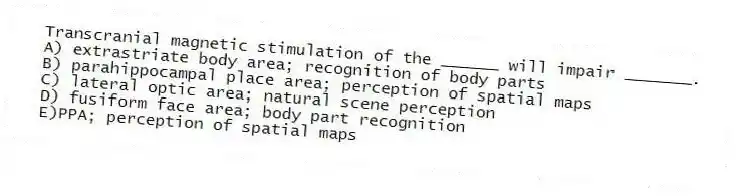 Transcranial magnetic stimulation of the ______ will impair _______.
A) extrastriate body area; recognition of body parts
B) parahippocampal place area; perception of spatial maps
C) lateral optic area; natural scene perception
D) fusiform face area; body part recognition
E)PPA; perception of spatial maps