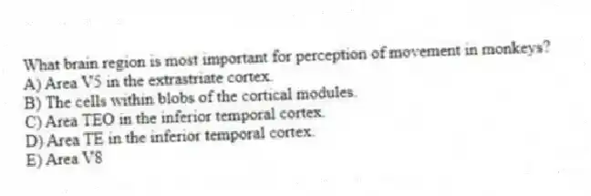 What brain region is most important for perception of movement in monkeys?
A) Area V5 in the extrastriate cortex.
B) The cells within blobs of the cortical modules.
C) Area TEO in the inferior temporal cortex.
D) Area TE in the inferior temporal cortex.
E) Area V8